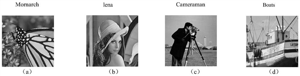 Compressed Sensing Network and Whole Image Reconstruction Method Based on Block Observation