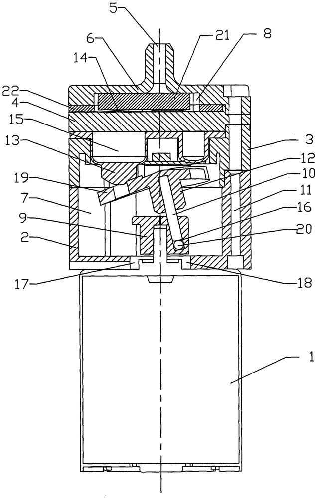 An airtight double-inlet micro air pump