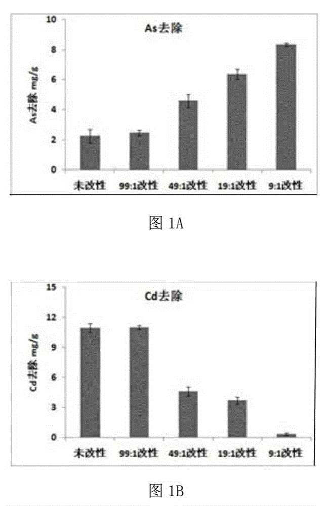 Cadmium-arsenic absorbing material and preparing method and application thereof