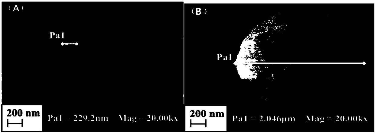 Palladium ion imprinted polymer and preparation method and application thereof