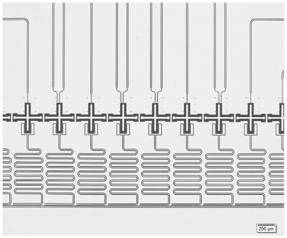 Niobium-based planar multi-superconducting quantum bit and preparation method and application thereof