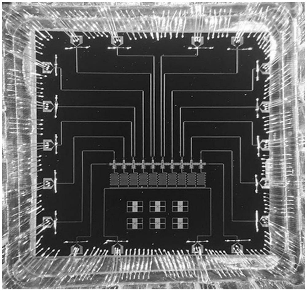 Niobium-based planar multi-superconducting quantum bit and preparation method and application thereof