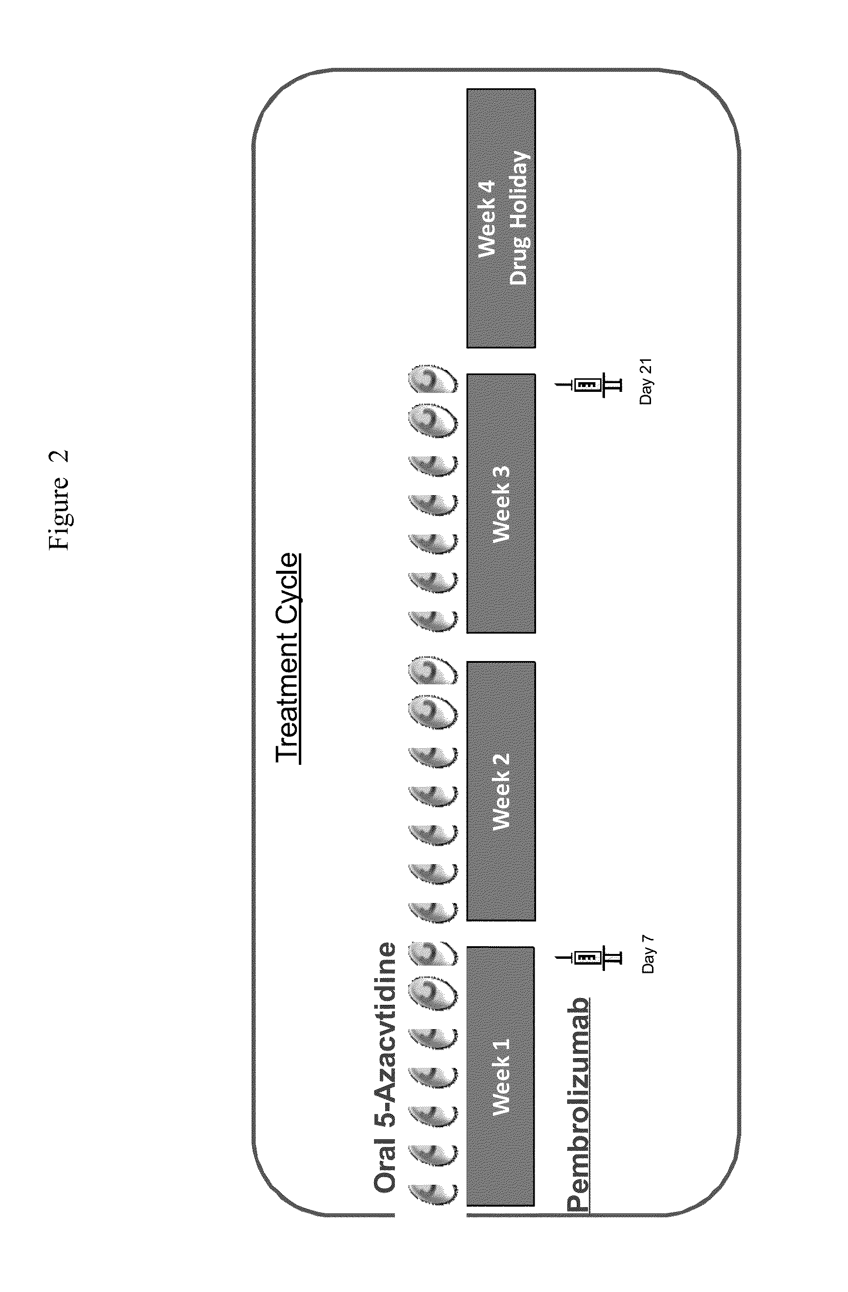 Methods for treating a disease or disorder using oral formulations of cytidine analogs in combination with an Anti-pd1 or Anti-pdl1 monoclonal antibody
