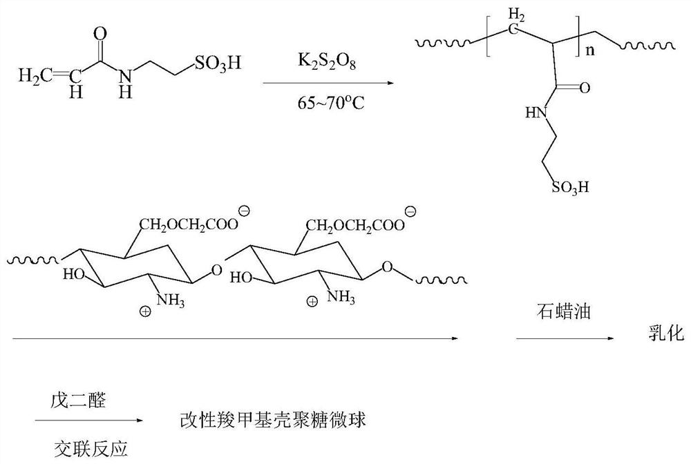 Modified carboxymethyl chitosan microsphere as well as preparation method and application thereof