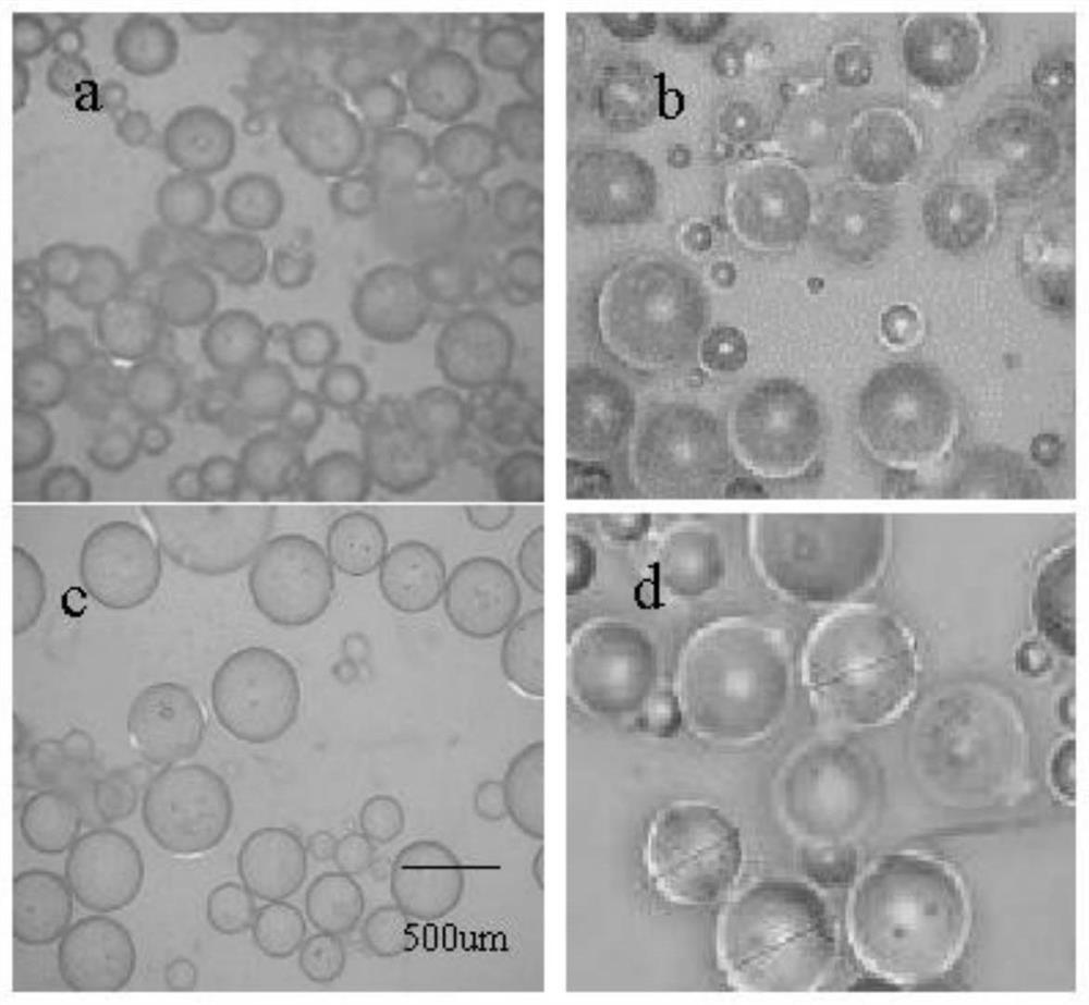 Modified carboxymethyl chitosan microsphere as well as preparation method and application thereof