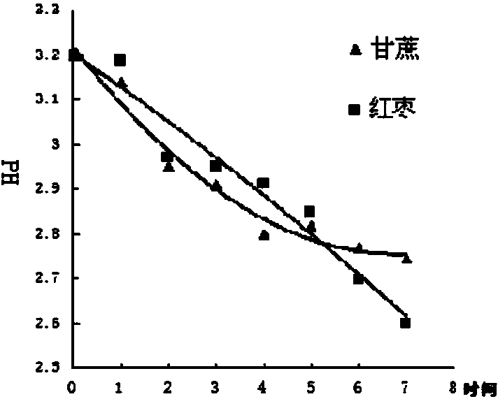 Edible carrier immobilized yeast as well as preparation method and application thereof