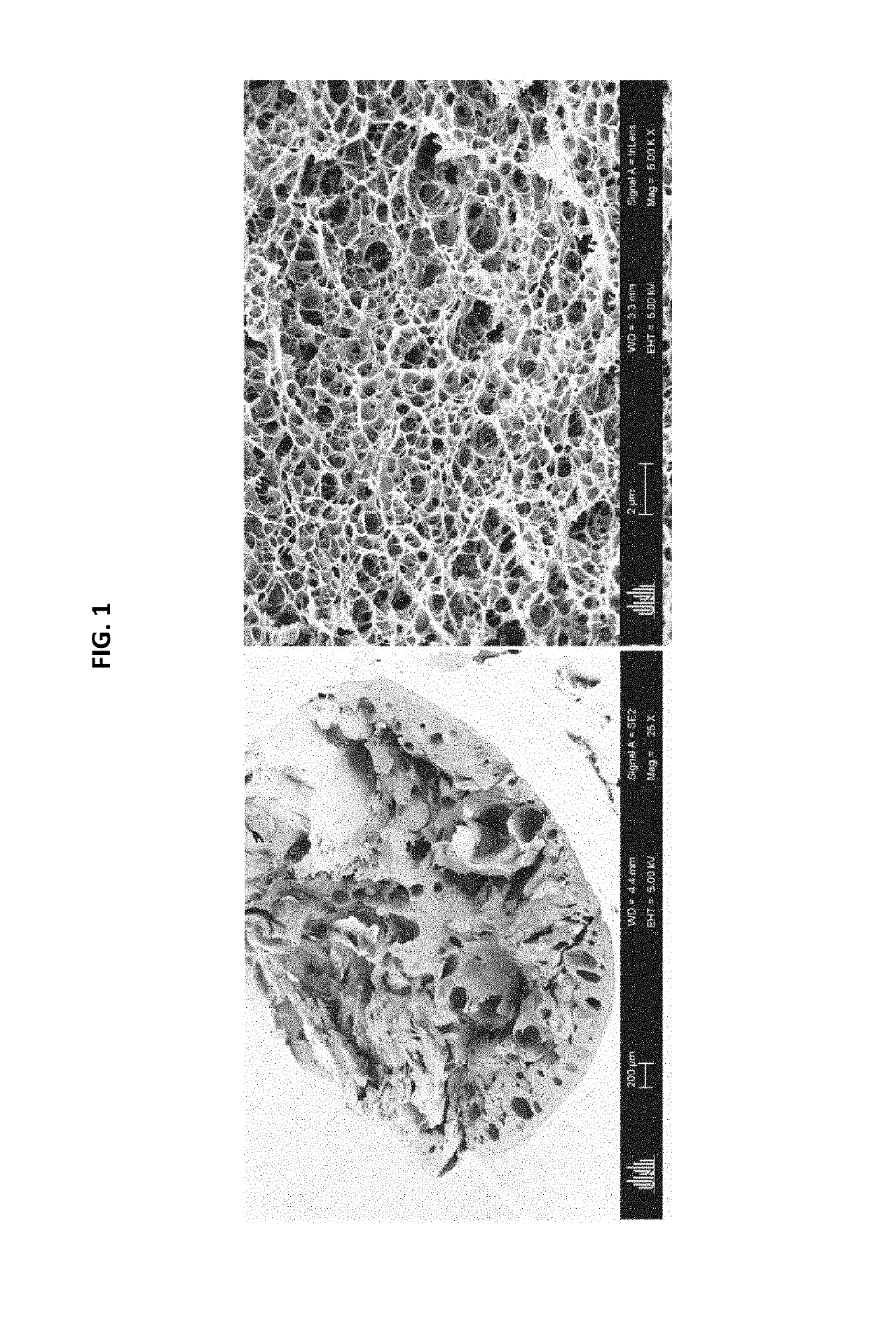 Production of porous materials by the expansion of polymer gels