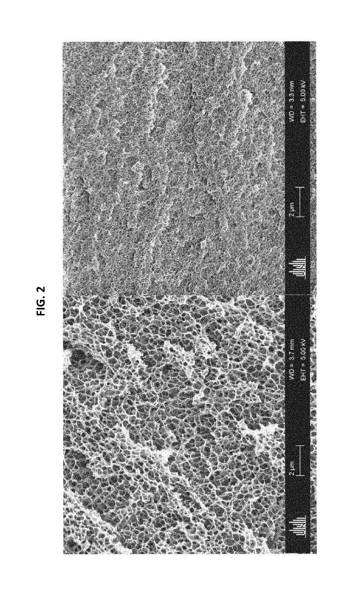 Production of porous materials by the expansion of polymer gels