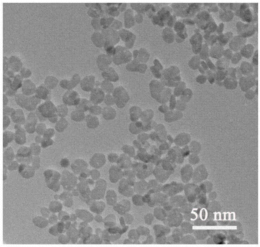 Preparation method of water-soluble rare earth luminous nanocrystallines with functionalized surfaces