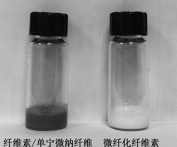 Cellulose/tannin micro-nano fibers and preparation method thereof