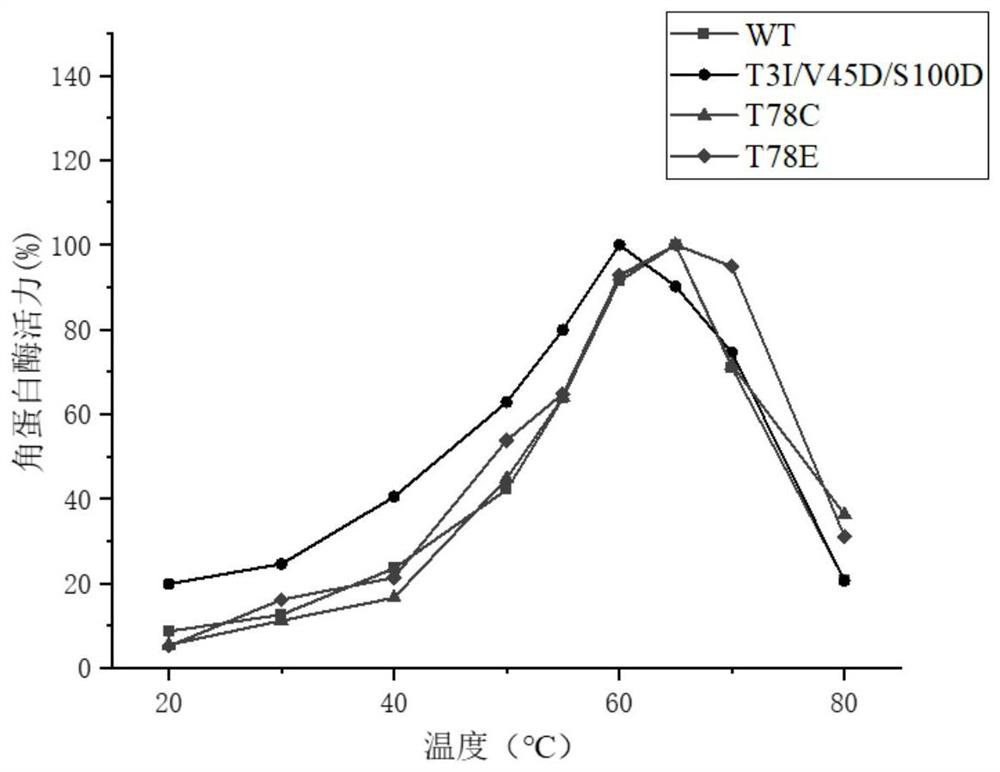 A kind of keratinase mutant with improved low-temperature enzymolysis performance and its application