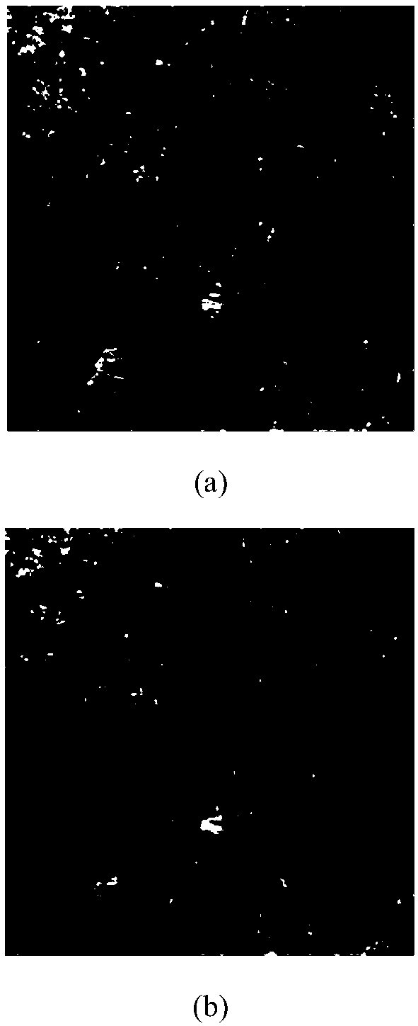 SAR image change detection method based on mds-srm hybrid cascade