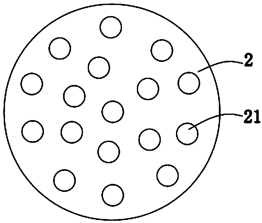 Chemical vapor deposition device