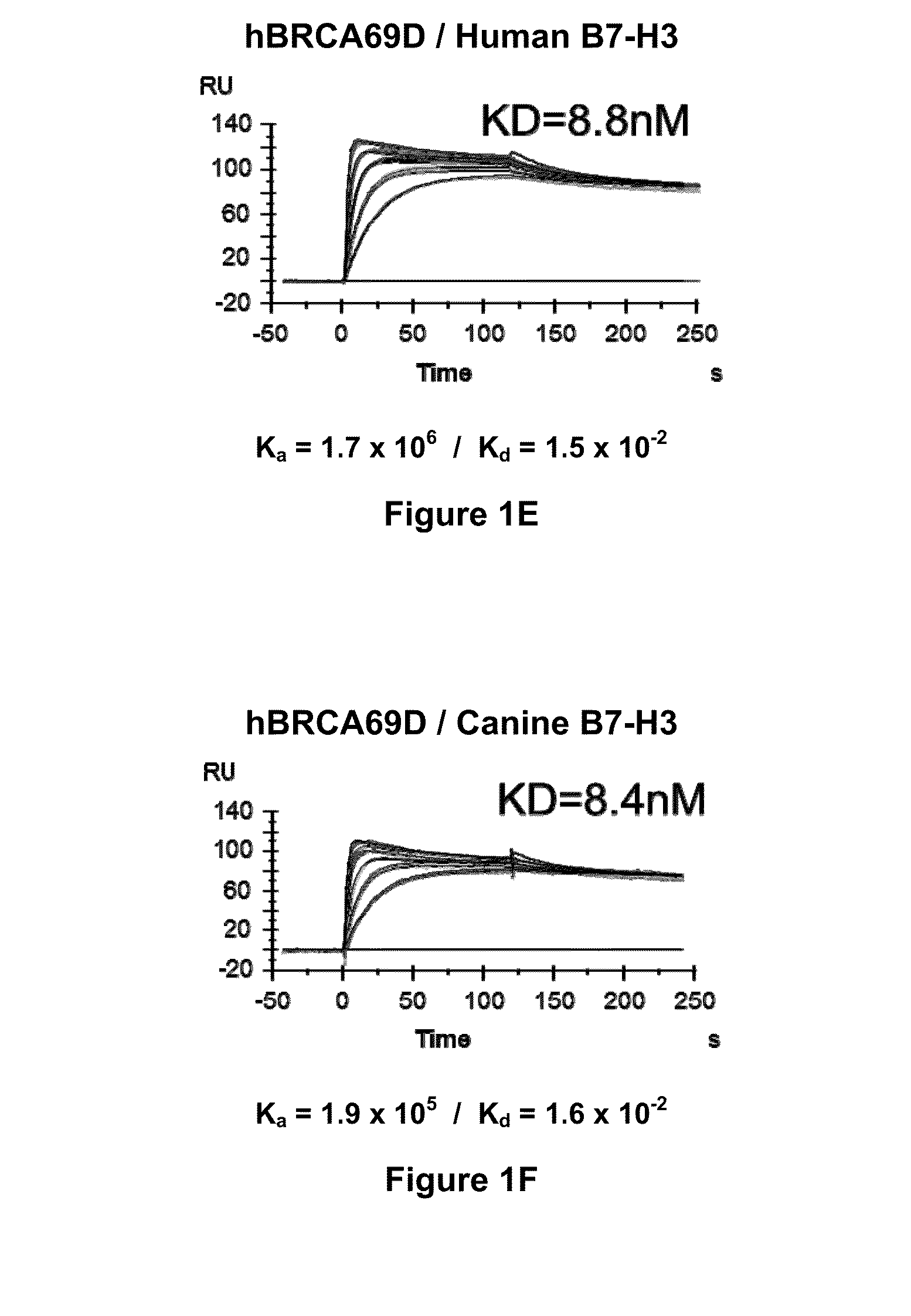 Bispecific Molecules That Are Immunoreactive with Immune Effector Cells of a Companion Animal That Express an Activating Receptor and Cells That Express B7-H3 and Uses Thereof