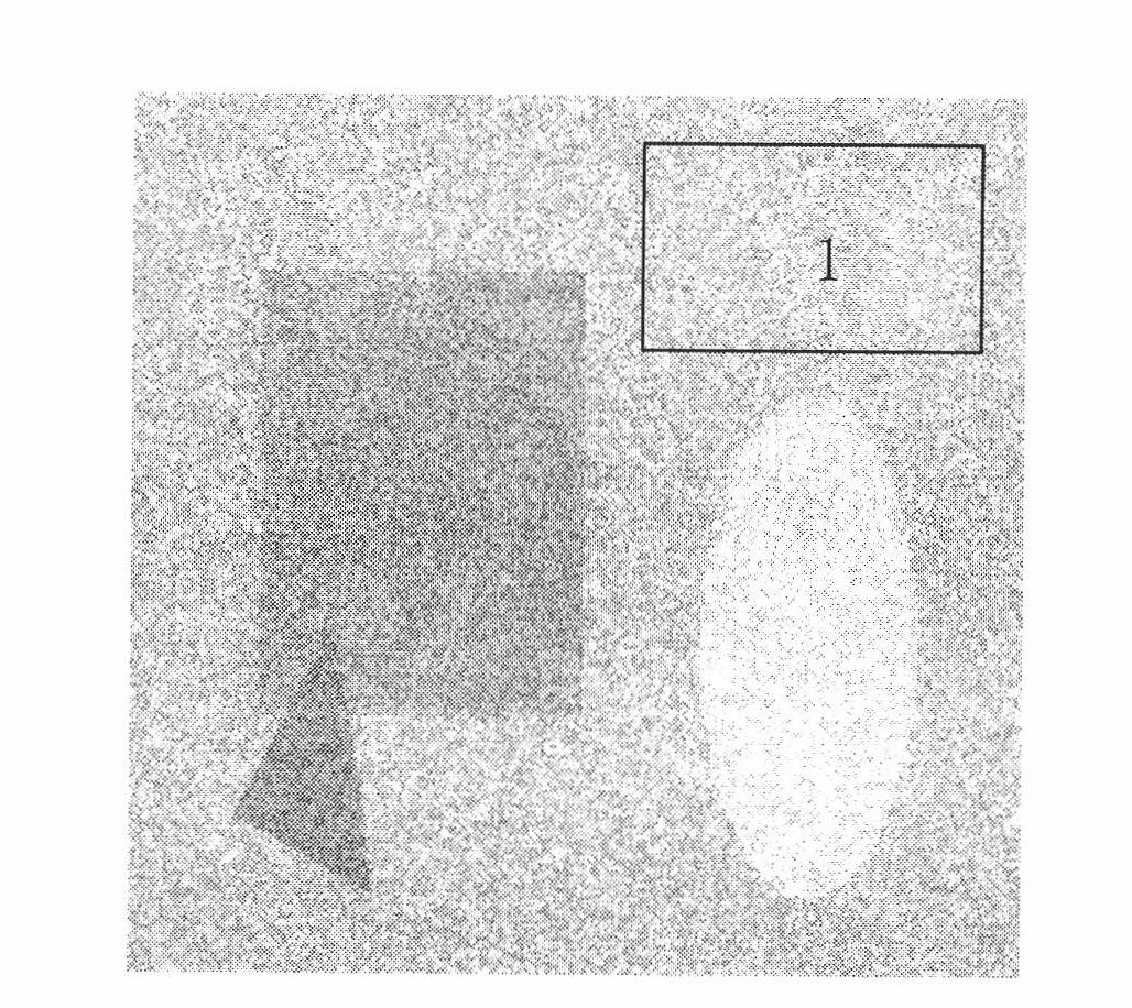 Method for determining intensity of speckle noise in images