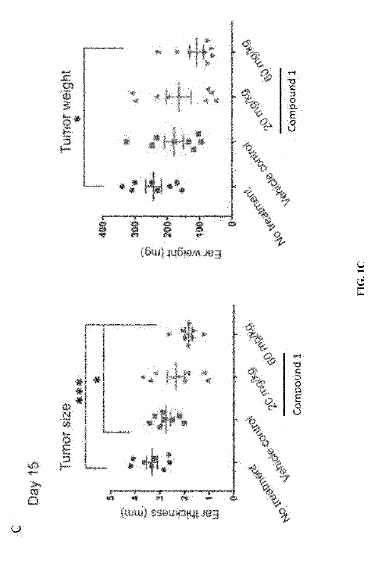 Methods of treating solid tumors with CCR2 antagonists