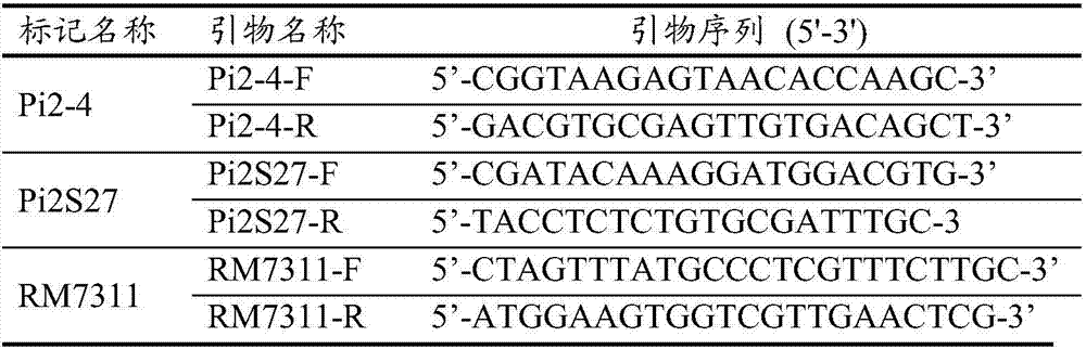 Recombinant nucleic acid fragment RecCR012069 of rice genome and detection method of recombinant nucleic acid fragment RecCR012069
