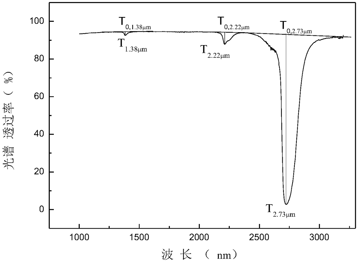 Detection device and detection method for surface distribution of hydroxyl content in quartz glass