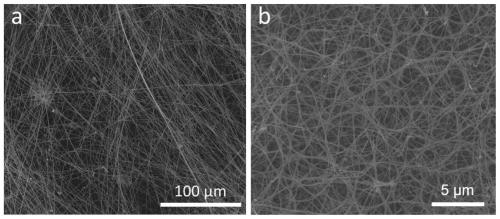 Amorphous carbon modified SiC nanowire continuous three-dimensional network structure wave-absorbing foam and preparation method thereof