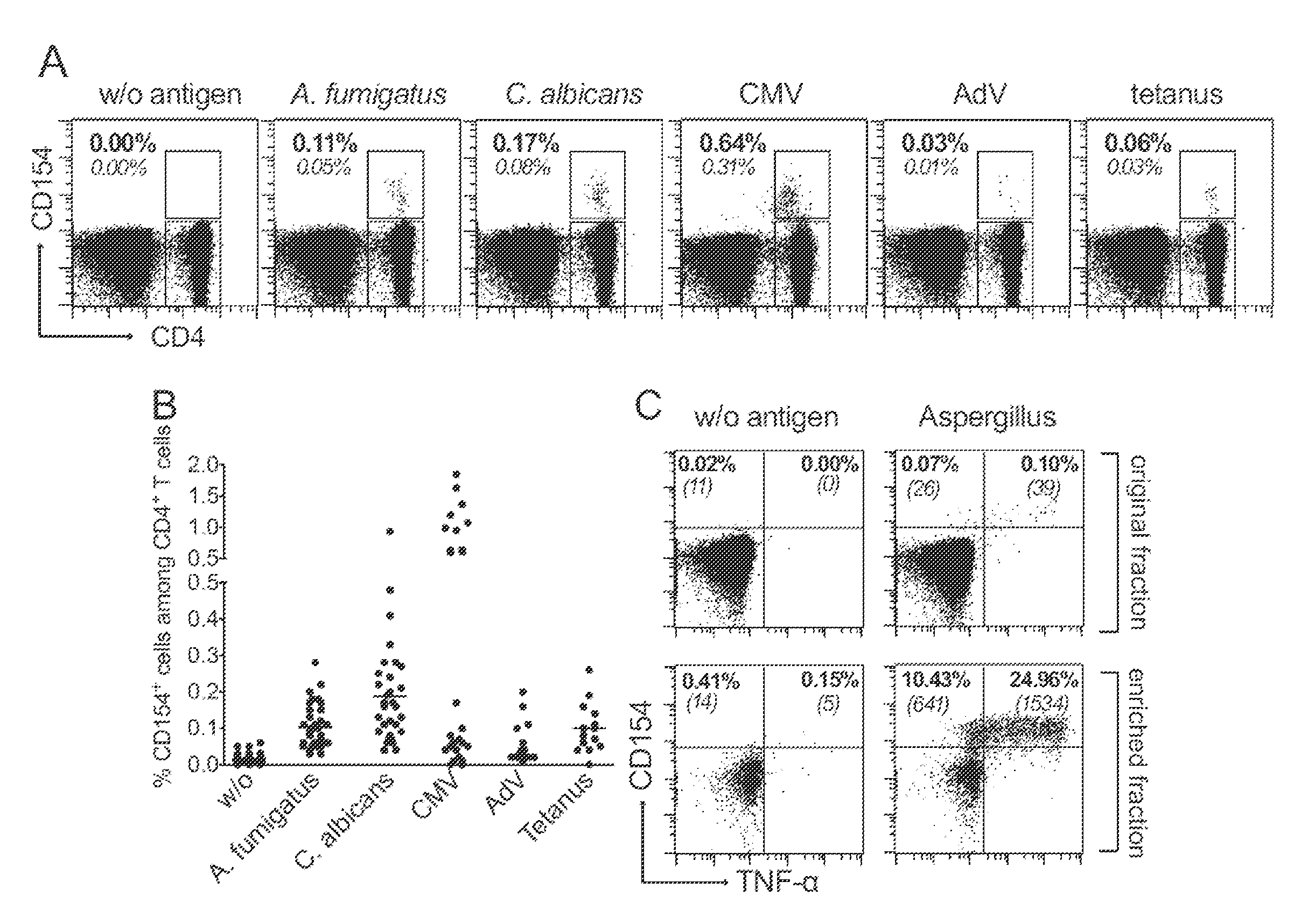 Method for the quantitative and qualitative characterization of antigen-specific t cells recognizing a specific antigen