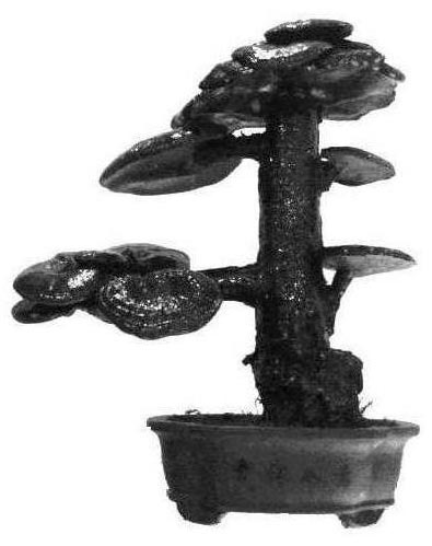 Die and method for directionally culturing glossy ganoderma potted landscapes of various forms