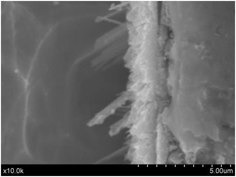 Salt bath niobium infiltrating agent and niobium infiltrating method for metal titanium surface