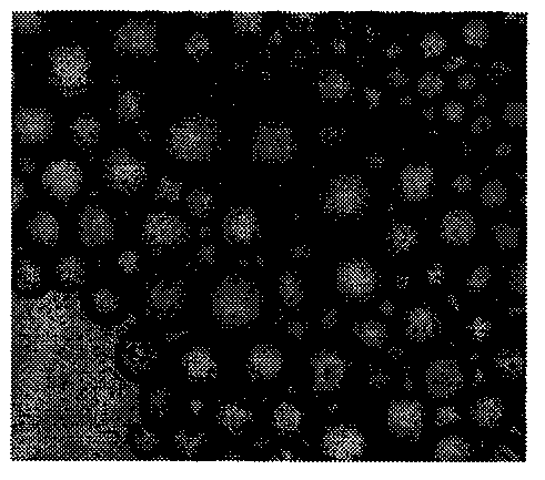 A simple method for preparing plga microspheres with uniform particle size