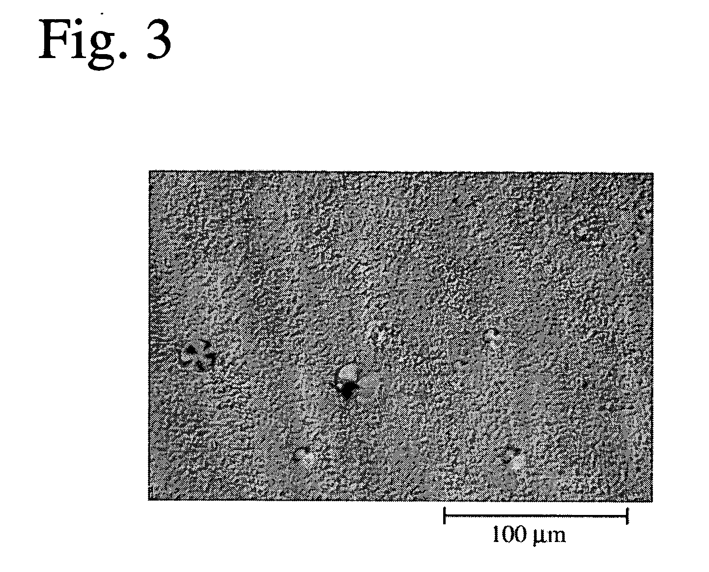 III-V nitride semiconductor substrate and its production lot, and III-V nitride semiconductor device and its production method