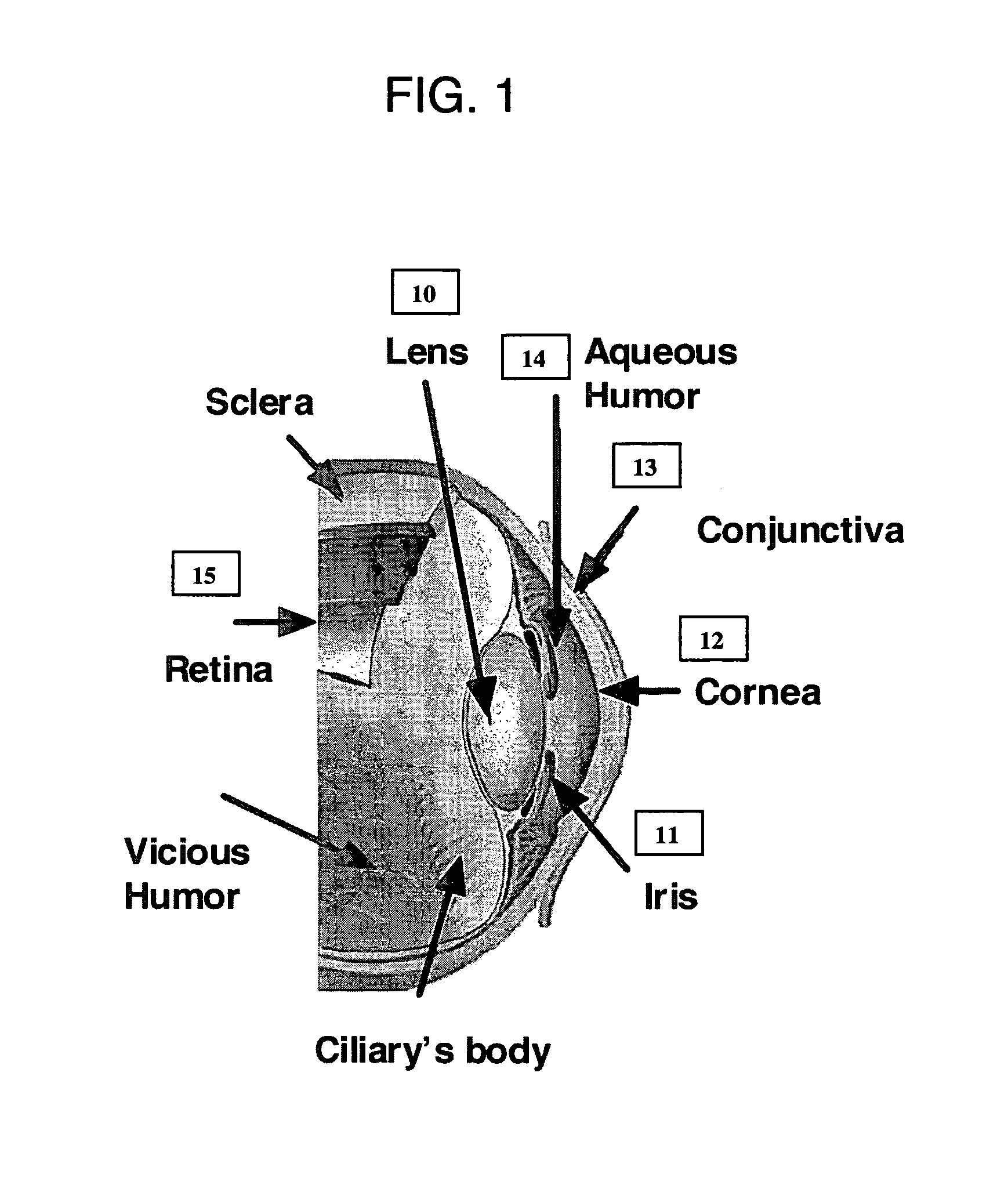 Method and apparatus for early diagnosis of Alzheimer's using non-invasive eye tomography by terahertz