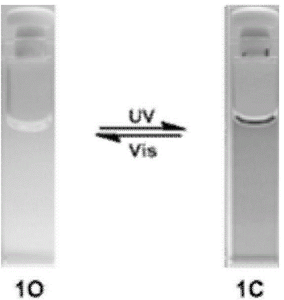 Photochromic perfluoro cyclopentene molecular fluorescent probe compound as well as preparation method and application thereof