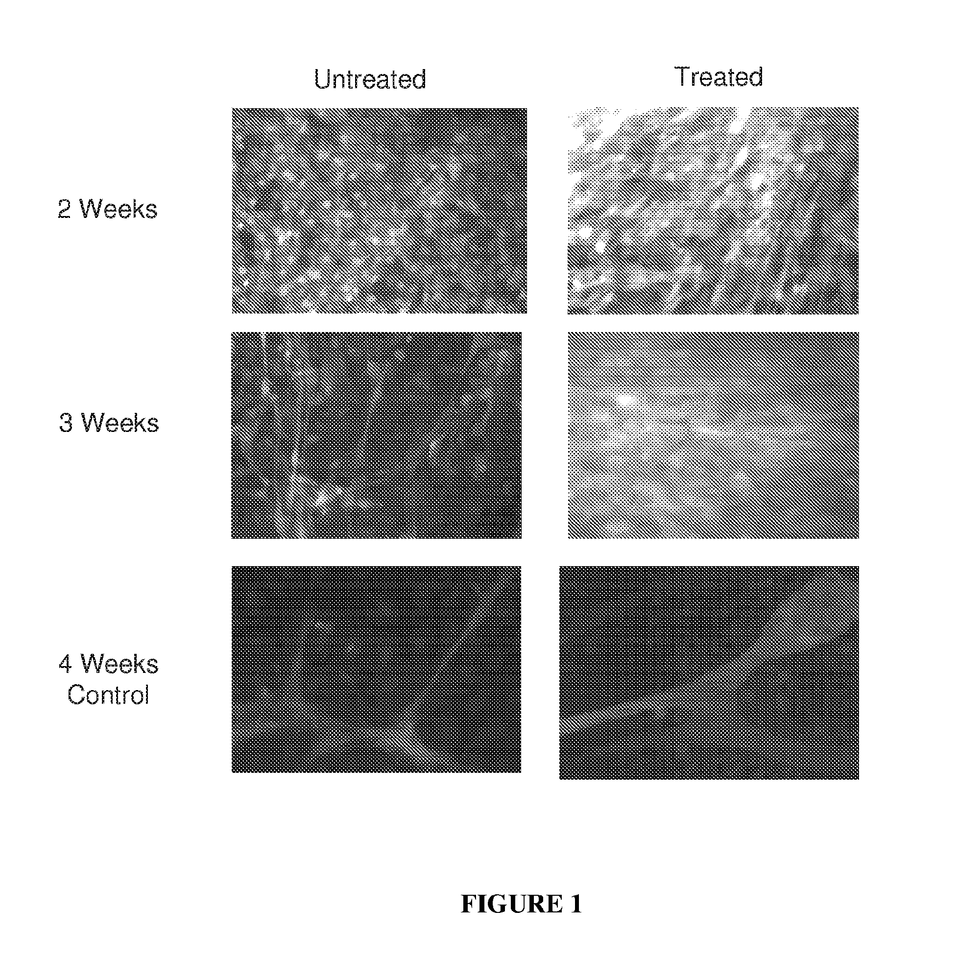 Methods and compositions for diagnosis and treatment of genetic and retinal disease