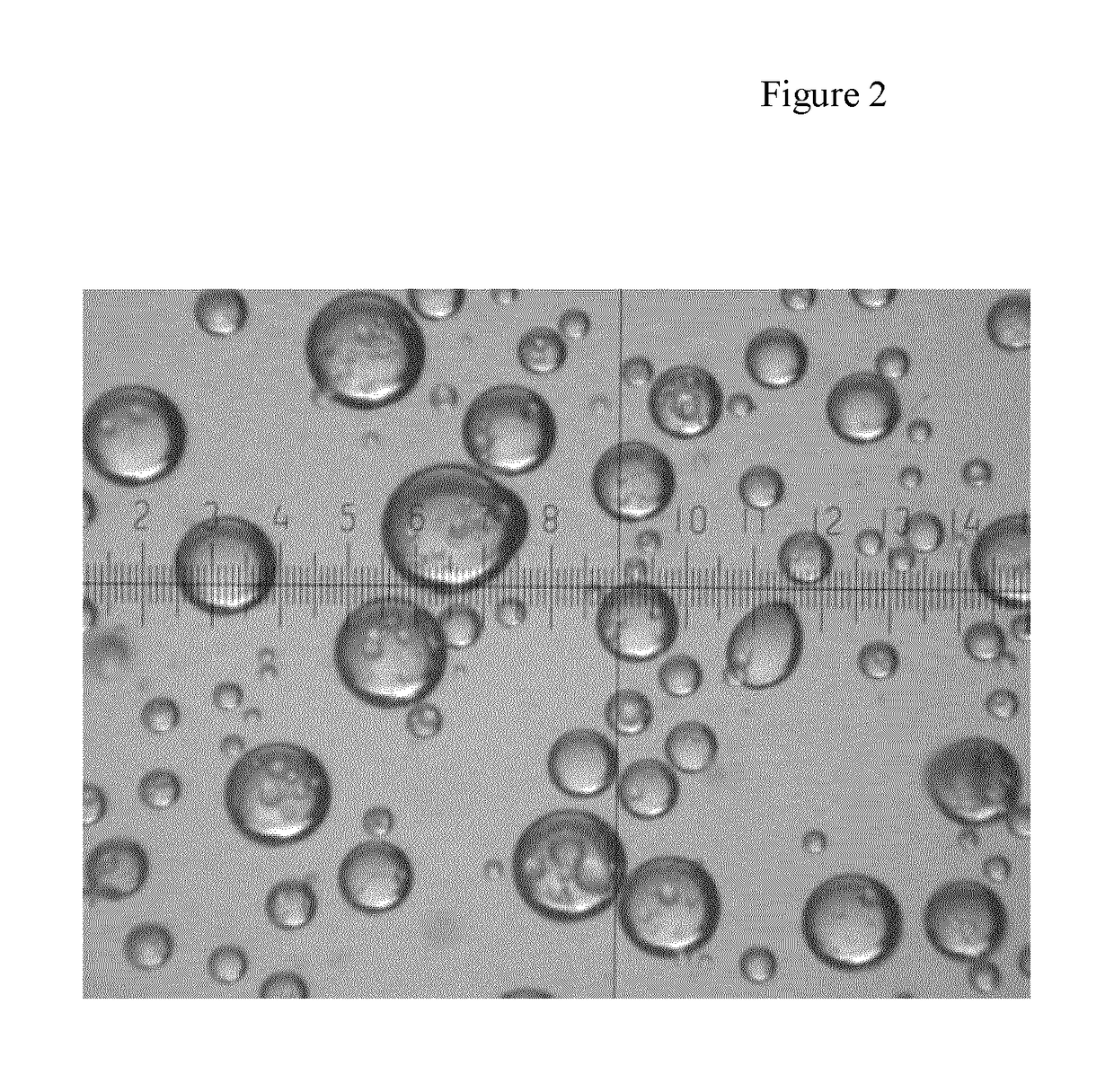 Dermal filler composed of macroporous chitosan microbeads and cross-linked hyaluronic acid