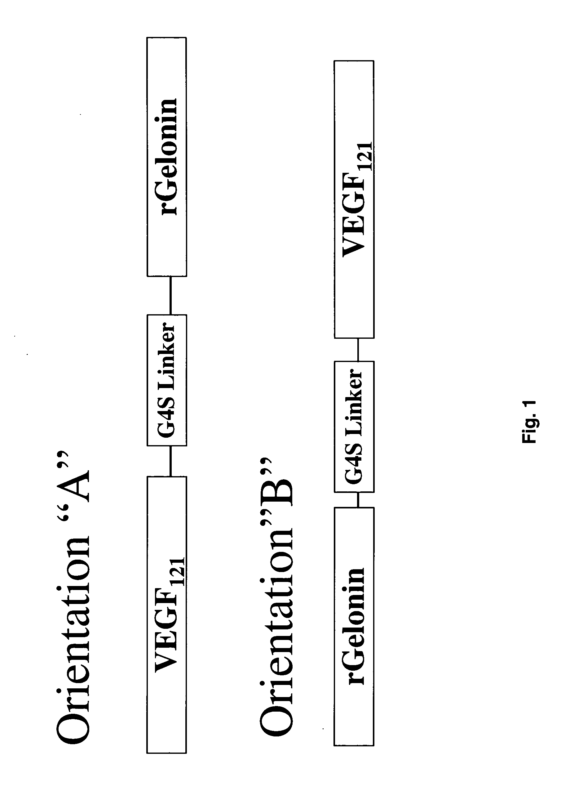 Vascular endothelial growth factor fusion constructs and uses thereof