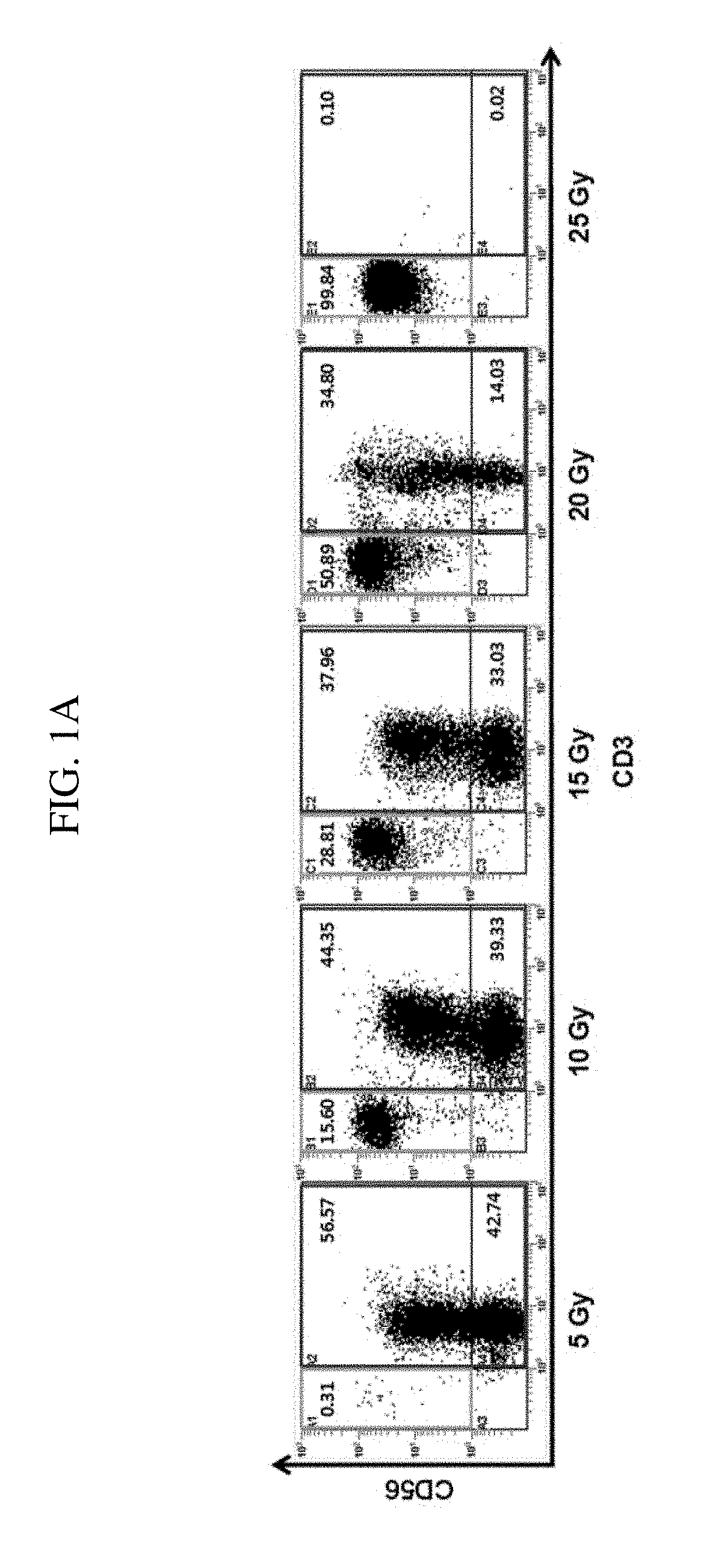 Method for preparing natural killer cells using irradiated pbmcs, and Anti-cancer cell therapeutic agent comprising the nk cells