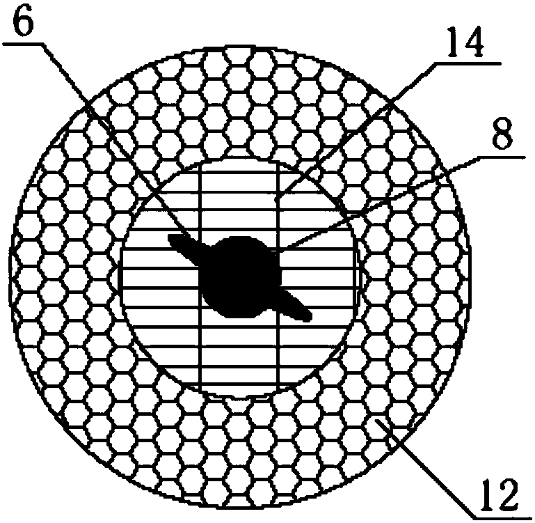 Fish inlet structure of fish passing facility