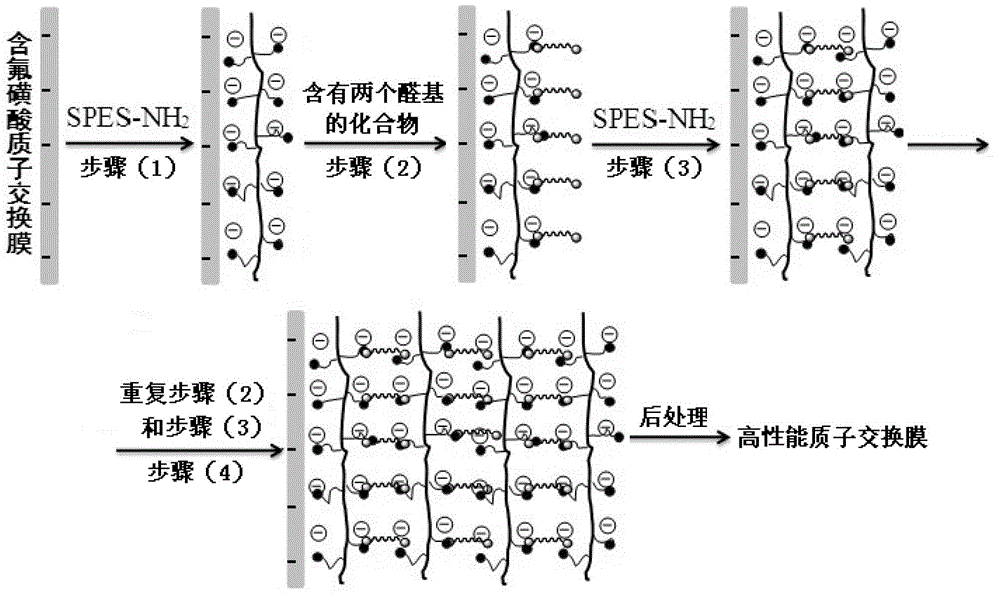 Preparation method of high-performance proton exchange membrane