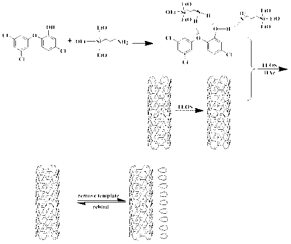 Preparation method of triclosan carbon nano-tube molecule imprinted polymer and determination method of content of triclosan applied to daily chemical products