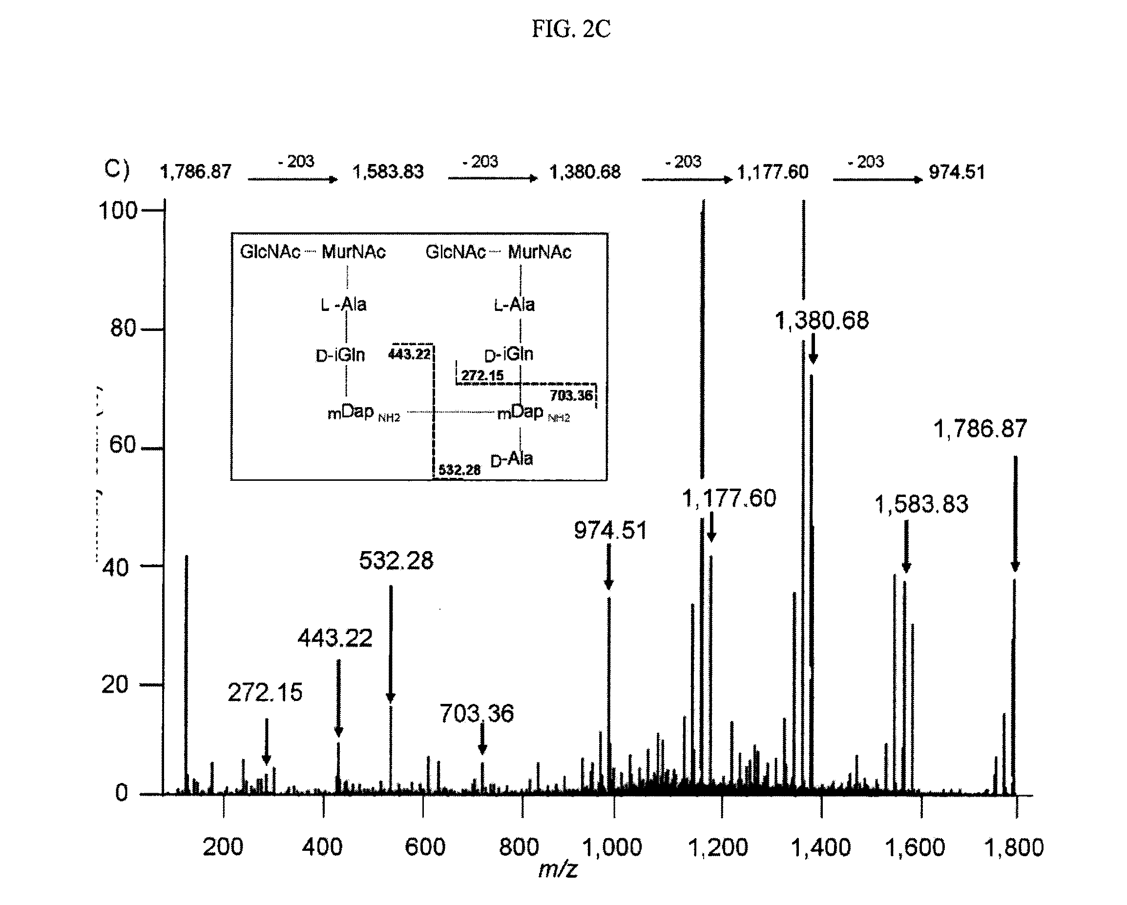 Methods for treatment of bacterial infections