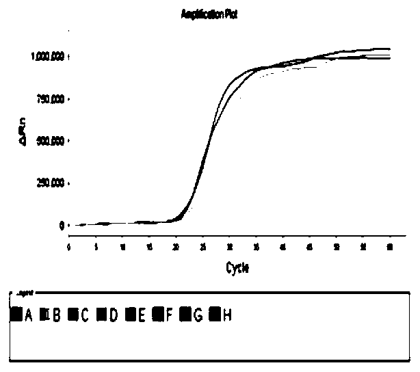 Typing detection LAMP primer combination with effect of differentiating porcine parvovirus type 1-7, detection method and kit