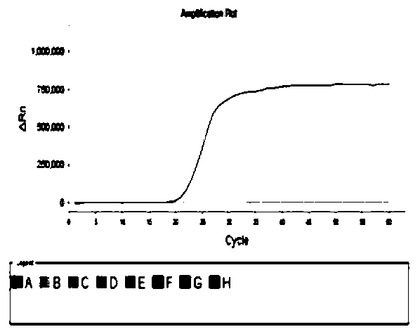 Typing detection LAMP primer combination with effect of differentiating porcine parvovirus type 1-7, detection method and kit