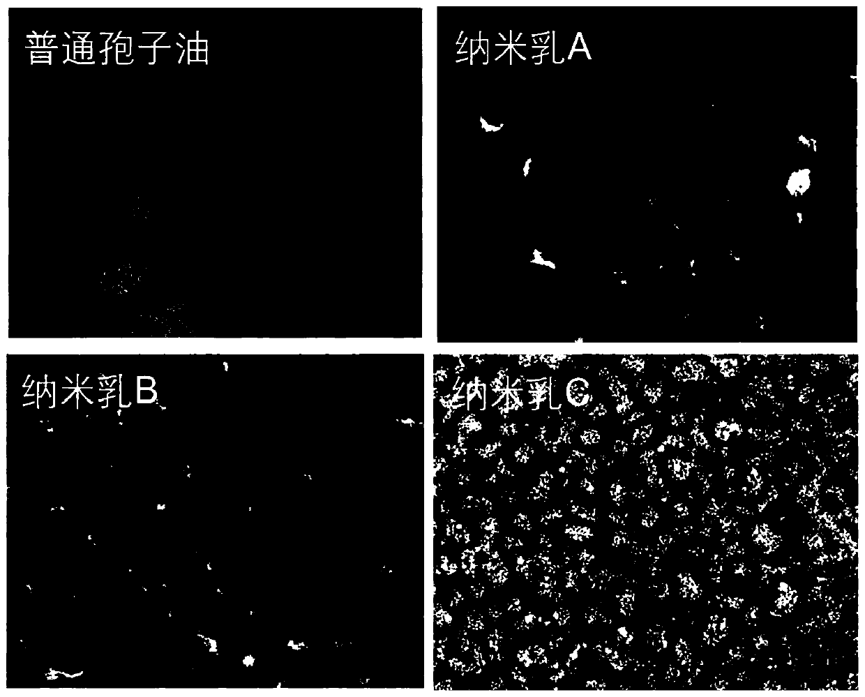 Ganoderma spore oil nanoemulsion and preparation method and application thereof