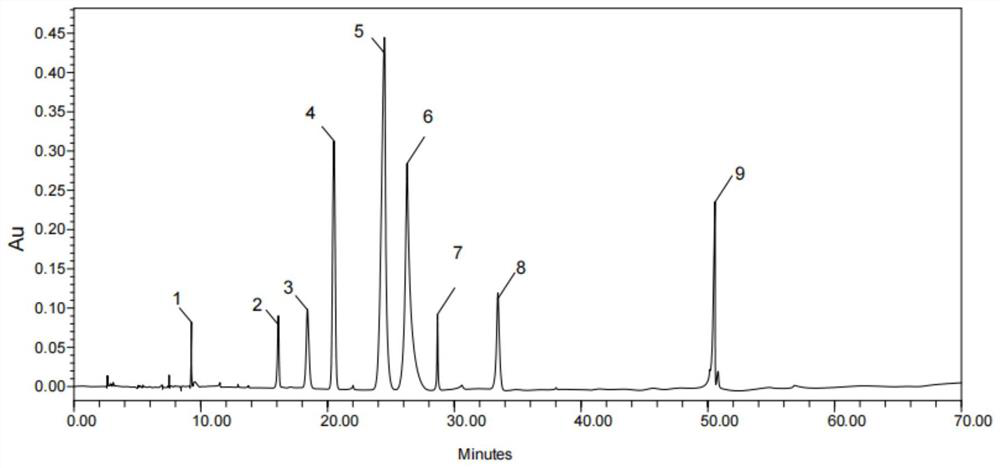 Application of sour cherry extract in preparation of product for reducing uric acid or inhibiting gout attack