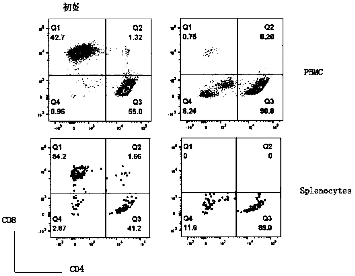 Method for Transformation and Expansion of Double Negative T Cells
