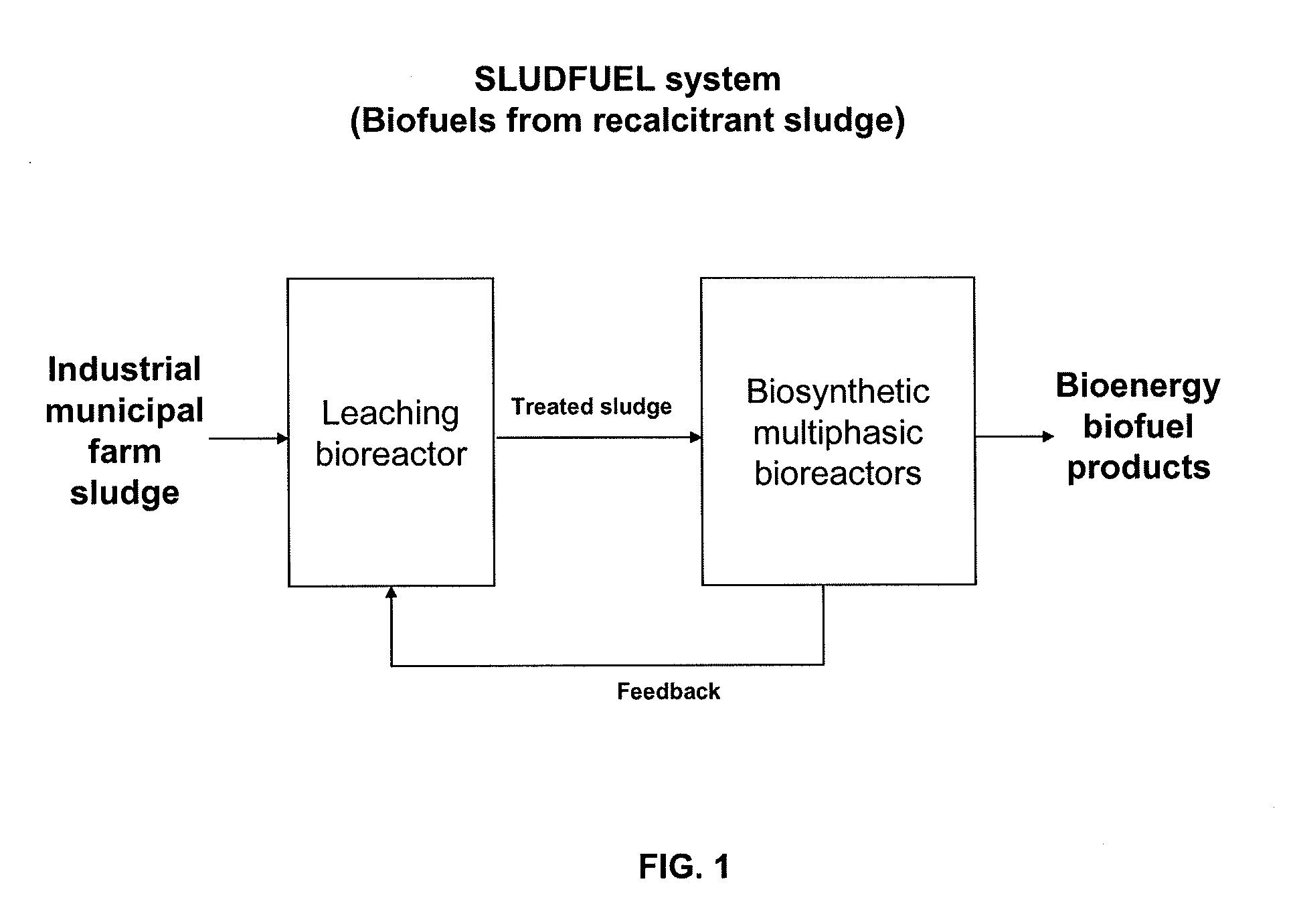 Methods and systems for production of biofuels and bioenergy products from sewage sludge, including recalcitrant sludge