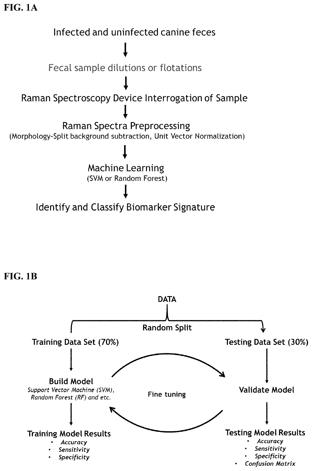 Compositions and methods for diagnosing parasitic infections