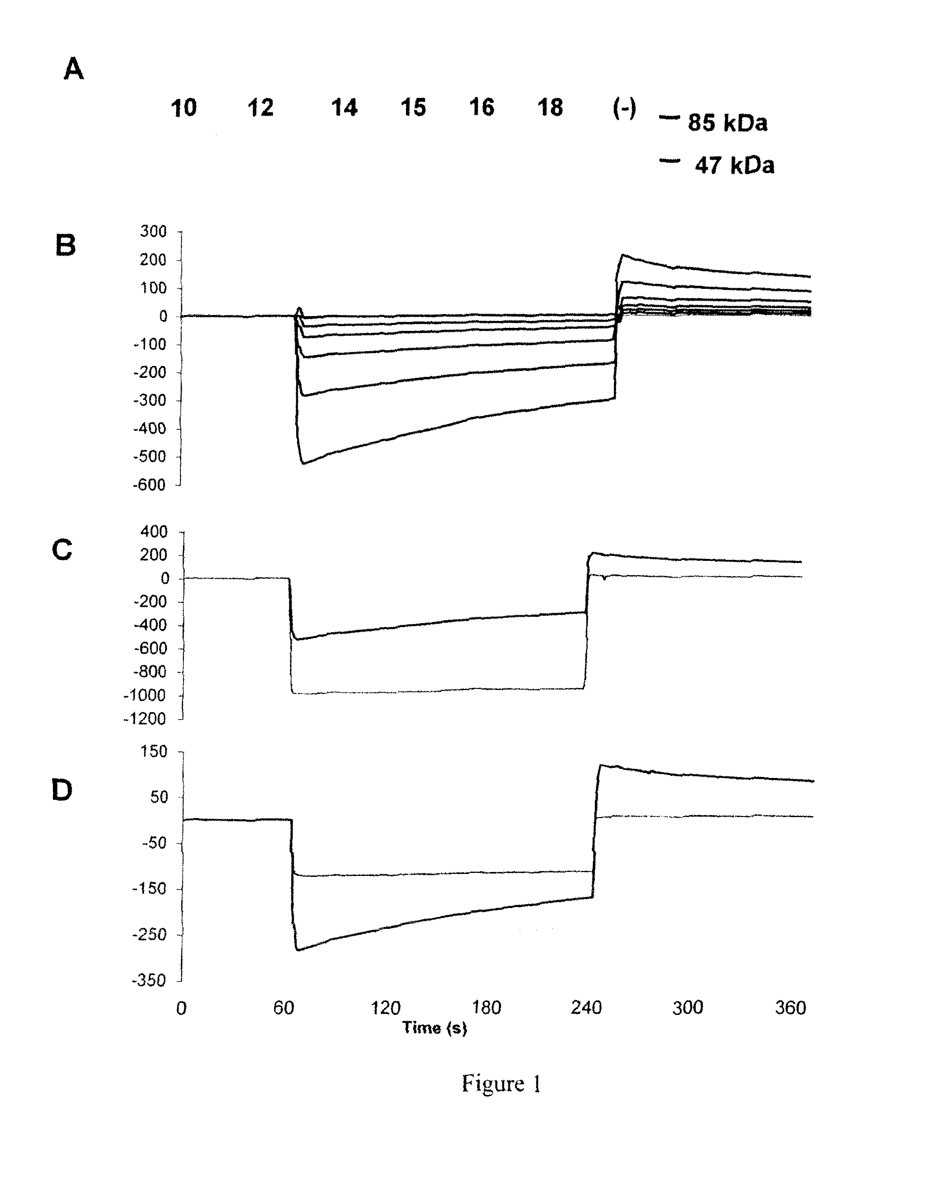 Polypeptides, cyclic polypeptides and pharmaceutical comprising thereof for non invasive specific imaging of fibrosis