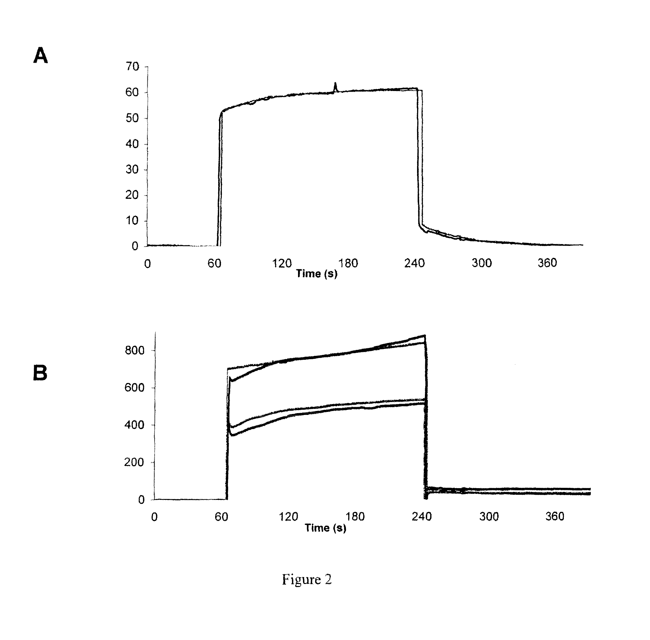 Polypeptides, cyclic polypeptides and pharmaceutical comprising thereof for non invasive specific imaging of fibrosis