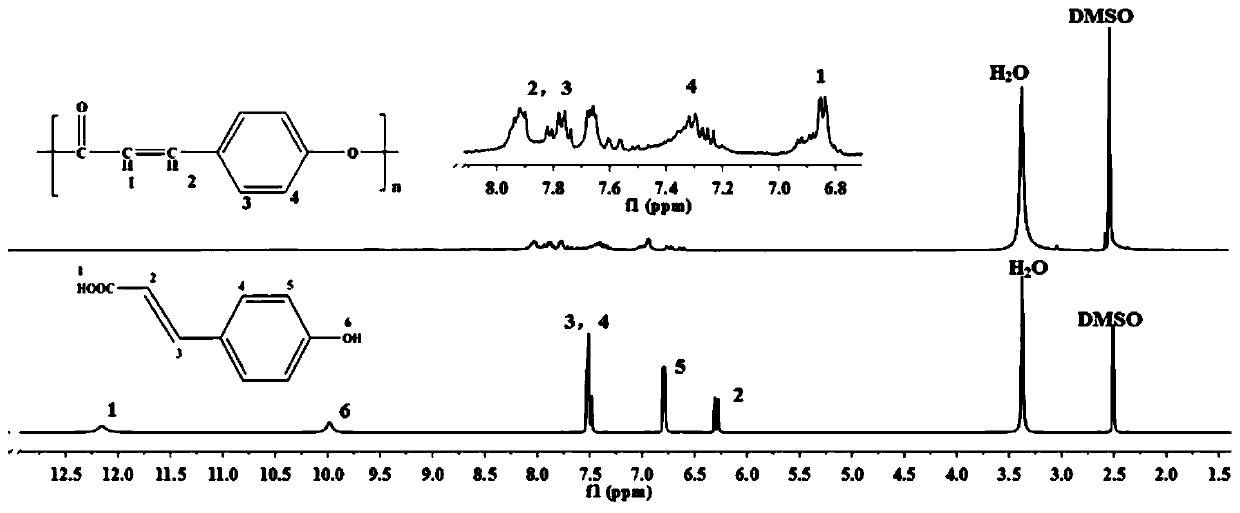 Nano drug delivery system based on p-coumaric acid polymer and preparation method and application thereof