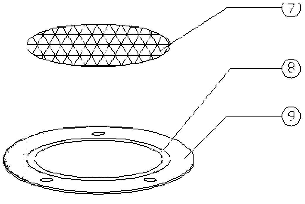 Layered sampling testing device for capillary water zone