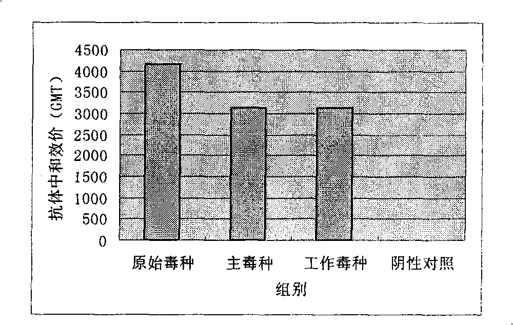EV-71 virus seed, inactivated vaccine for human and method of producing the same